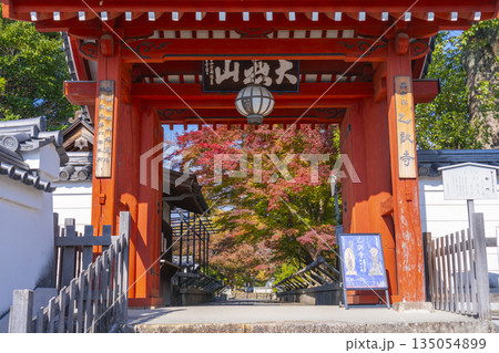 乙訓寺 山門 紅葉の季節 乙訓寺 山門 紅葉の季節 135054899