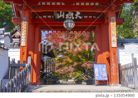 乙訓寺 山門 紅葉の季節 乙訓寺 山門 紅葉の季節 135054900