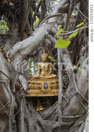 THAILAND PHITSANULOK WAT RATCHABURANA THAILAND PHITSANULOK WAT RATCHABURANA 135054953