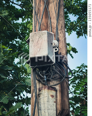 Utility pole with cables against a leafy background. Utility pole with cables against a leafy background. 135055171