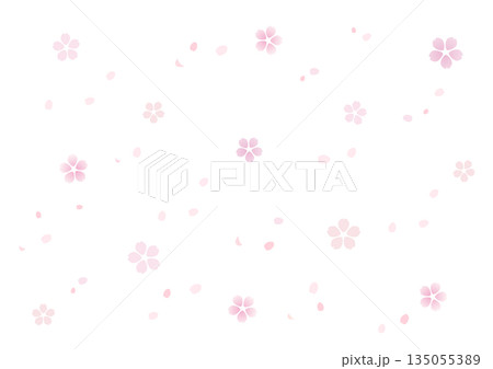 シンプルな桜の背景素材 シンプルな桜の背景素材 135055389