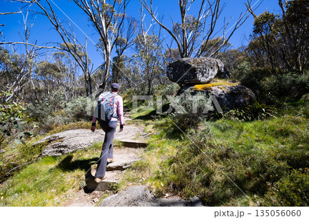 Dead Horse Gap Walking Track in Australia Dead Horse Gap Walking Track in Australia 135056060