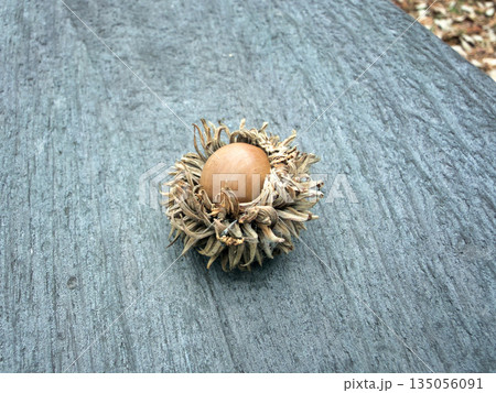 秋の可愛いどんぐりと落ち葉 135056091