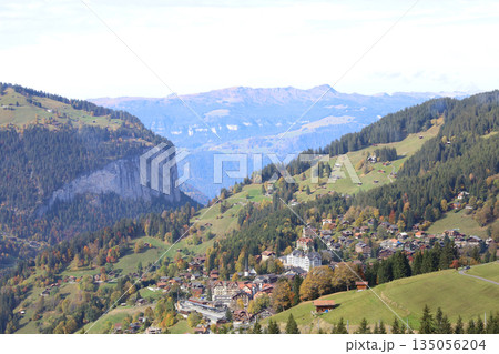 View of the cityscape and nature Park in autumn season at switzerland 135056204