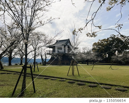 満開の桜と時計台 | 日本の春風景 満開の桜と時計台 | 日本の春風景 135056654