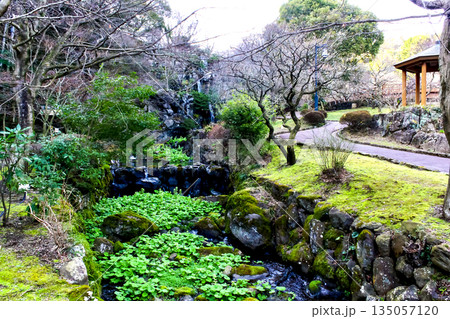 【静岡】冬の熱海梅園 初川にかかる赤い橋からの景色 【静岡】冬の熱海梅園 初川にかかる赤い橋からの景色 135057120