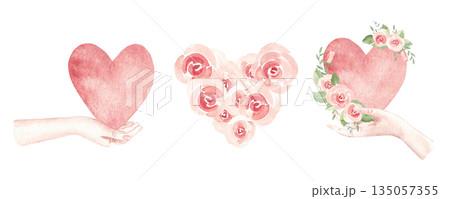 St. Valentine day or wedding, engagement compositions set with woman hands with heart and pink roses. Watercolor hand drawn illustration isolated on a white background. Romantic design elements for 135057355
