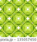 Textile ready great print, swimwear fabric, wallpaper, wrapping. Green stylish boho chic summer design. Tiled watercolor background. Hand painted tiled watercolor border. 135057450