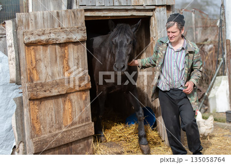Man leading a black horse out of a wooden barn on a sunny day 135058764
