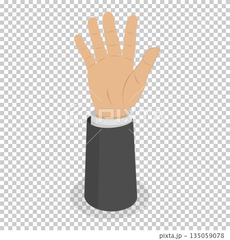 3D Isometric Flat  Set of Human Hands Gestures. Item 1 135059078