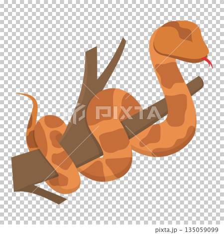 3D Isometric Flat Illustration of Colorful Poisonous Snakes. Item 6 3D Isometric Flat Illustration of Colorful Poisonous Snakes. Item 6 135059099