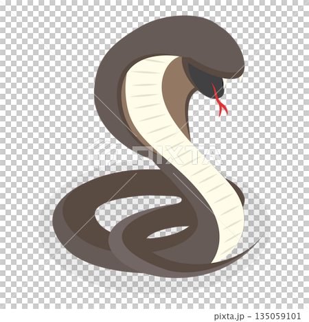 3D Isometric Flat  Illustration of Colorful Poisonous Snakes. Item 4 135059101