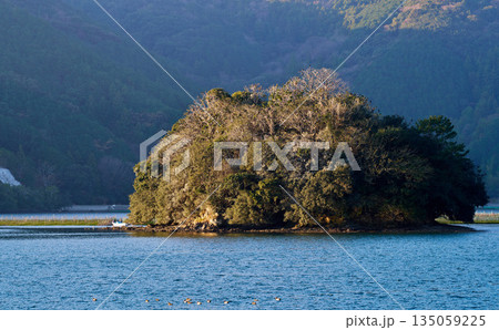 南伊勢町・五ヶ所湾に浮かぶ野鳥の小島 135059225