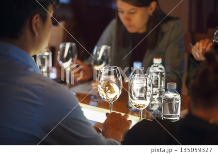 Group of People Sitting at Table With Wine Glasses on Tasting Session 135059327