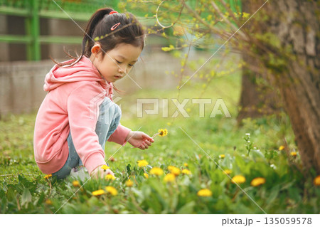 Little Girl Picking Flowers in Spring Park Little Girl Picking Flowers in Spring Park 135059578