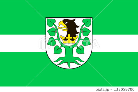 The flag of Oletsky 135059700
