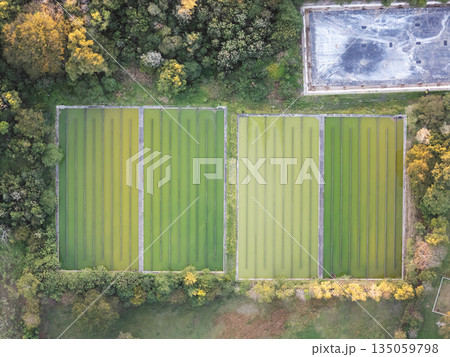 Aerial view of green fields and crops in the daytime Aerial view of green fields and crops in the daytime 135059798