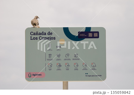 Collared dove on an information sign. Collared dove on an information sign. 135059842