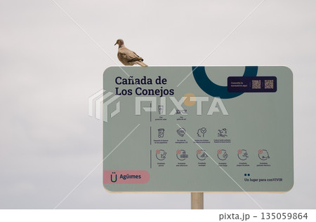Collared dove on an information sign. 135059864