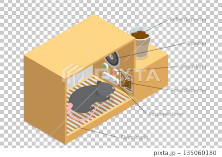 3D Isometric Flat Illustration of Skinner Box, Laboratory Chamber for Animals 3D Isometric Flat Illustration of Skinner Box, Laboratory Chamber for Animals 135060180