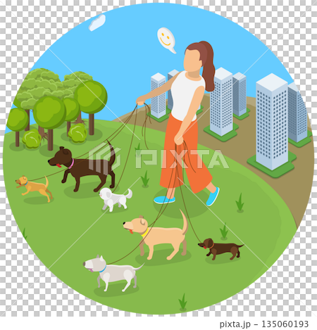 3D Isometric Flat Illustration of Walks With Pets , Woman Strolls With Animals At Park 3D Isometric Flat Illustration of Walks With Pets , Woman Strolls With Animals At Park 135060193