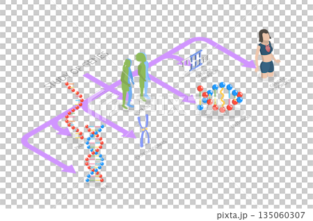 3D Isometric Flat Illustration of Genetics And Gene Learning, Diagram Outlining Various Genetic And Gene Learning Subjects Within The Field Of Genetics. 3D Isometric Flat Illustration of Genetics And Gene Learning, Diagram Outlining Various Genetic And Gene Learning Subjects Within The Field Of Genetics. 135060307