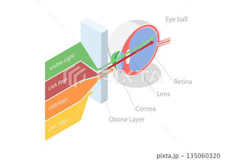 3D Isometric Flat  Illustration of Sun Light Electromagnetic Spectrum, UV Rays And Visible Light 135060320