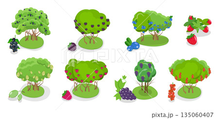 3D Isometric Flat  Illustration of Organic Fruits and Berries , Collection Of Shrubs Perfect For Gardens And Landscaping 135060407