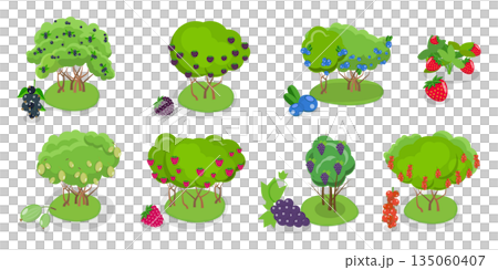 3D Isometric Flat  Illustration of Organic Fruits and Berries , Collection Of Shrubs Perfect For Gardens And Landscaping 135060407