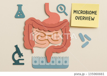 Paper cut science diagram providing friendly microbiome overview of gut. Minimal icons and sticky note text create an informative professional look for digestive health 135060881