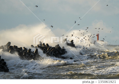 Stormy Baltic Sea waves crash against Liepaja harbor breakwater with lighthouse and seagulls flying Stormy Baltic Sea waves crash against Liepaja harbor breakwater with lighthouse and seagulls flying 135061921
