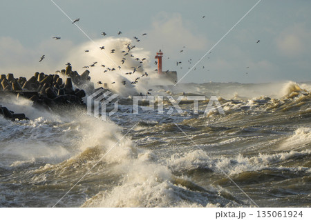 Fierce Baltic Sea storm crashing at Liepaja harbor gate breakwater with waves and flying seabirds Fierce Baltic Sea storm crashing at Liepaja harbor gate breakwater with waves and flying seabirds 135061924