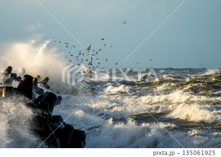 Raging Baltic Sea storm waves crashing against breakwater with flock of birds near Liepaja Raging Baltic Sea storm waves crashing against breakwater with flock of birds near Liepaja 135061925