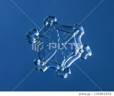 Natural snowflake crystal in blue background 135061958