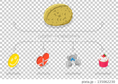 3D Isometric Flat  Illustration of Happy Hormones, Brain Chemicals 135062230