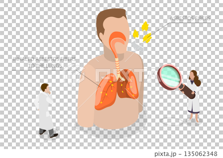 3D Isometric Flat  Illustration of Asbestos, Symptoms Of Asbestos Exposure, Chest Pain, Swollen Testes, And Scrotum, Fluid In Chest 135062348