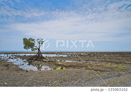 Pemuteran beach with Hindu shrine on Bali Indonesia 135063102