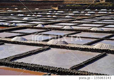 Salt production at Salinas del Carmen on Fuerteventura 135063143