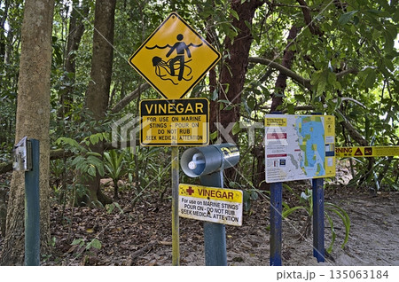 Stinger warning sign and advises near Cape Tribulation 135063184