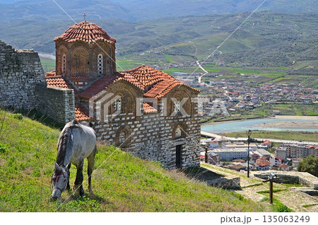 Holy Trinity Church in Berat with a gazing donkey 135063249