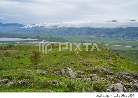 The southern gate of the Hellenic Archaeological Park of Antigonea 135063304