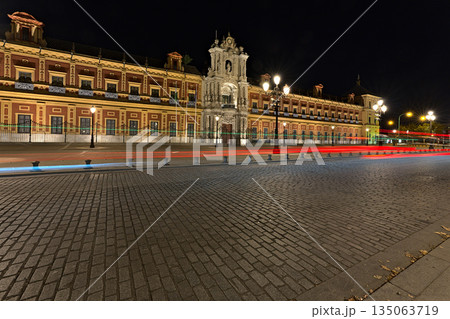 Palace of San Telmo photographed at night with long time exposure 135063719