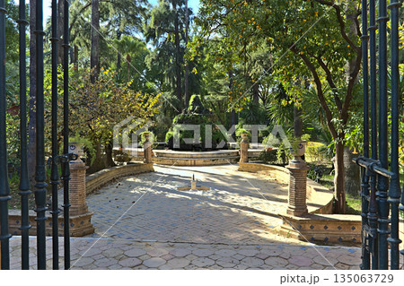 Garden area of the Alkazar of Seville 135063729