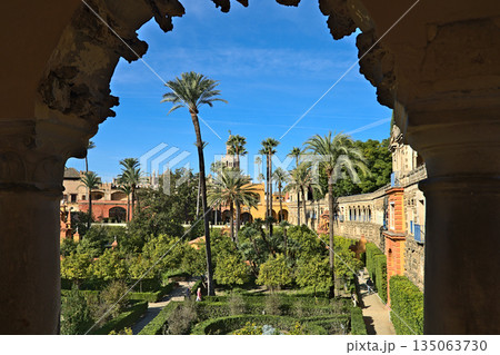 View at the Jardin de la Danza of the Alkazar of Seville 135063730