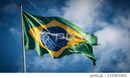 銀河の下で翻るブラジル国旗 135063905