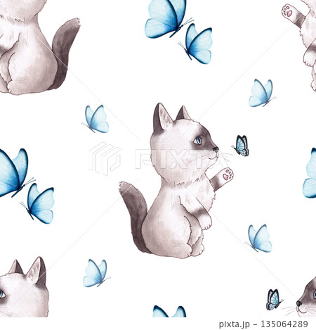 Seamless pattern with adorable kitten playing with blue butterfly isolated on white background. Hand drawn watercolor illustration Seamless pattern with adorable kitten playing with blue butterfly isolated on white background. Hand drawn watercolor illustration 135064289