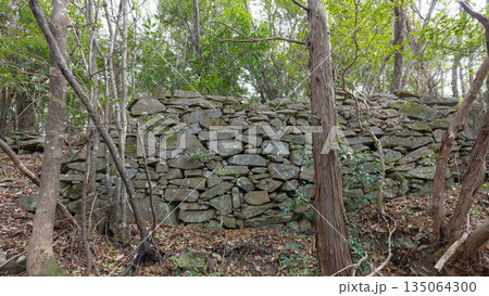 佐野鞍懸城跡 135064300