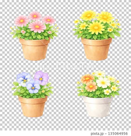 Spring flower pot watercolor illustration set 135064956