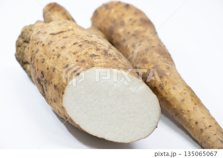 自然薯 135065067