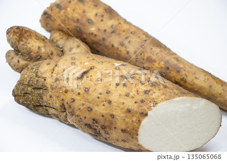 自然薯 自然薯 135065068